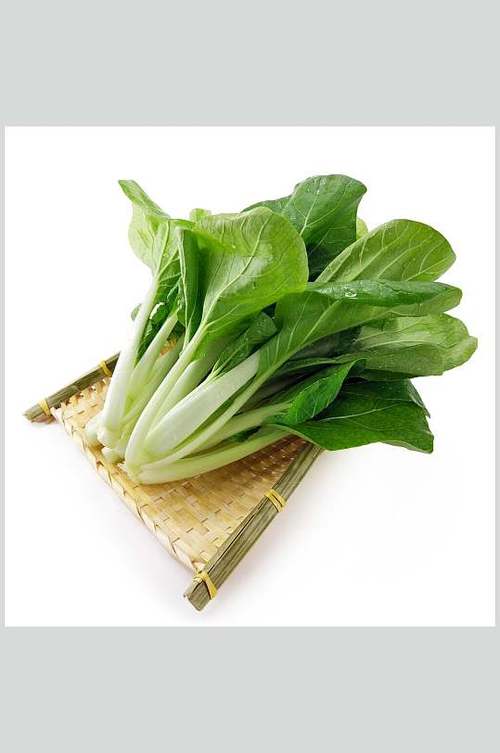 蔬菜配送服务的重要性&emsp;&emsp;在现代快节奏的生活中，购买蔬...